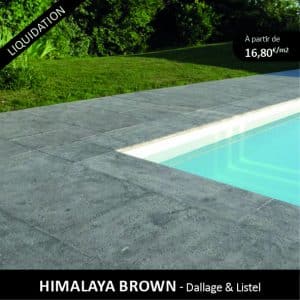 destockage Himalaya Brown