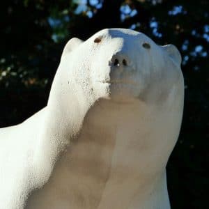 L'Ours Blanc de Dijon, cette sculpture de deux mètres cinquante, taillée en pierre de Lens, trône à l’entrée du Parc Darcy.  Il s'agit d'une reproduction du célèbre Ours Blanc François Pompon 